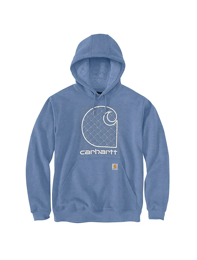 Carhartt Loose Fit Midweight Embroidered C Graphic Hoodie